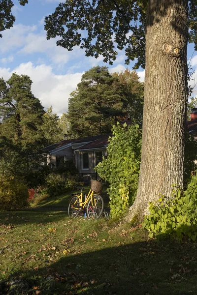 Sarı bisiklet uzun bir ağacın altında bir yaz günü bir köy evinin arka planına karşı.