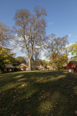 Sıcak bir sonbahar gününde, masmavi gökyüzüne ağaç serpiliyor.