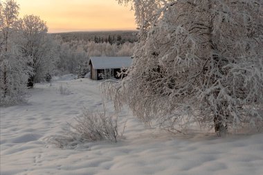 Soğuk bir kış gününde, karla kaplı bir köyün yanından ormanın manzarası