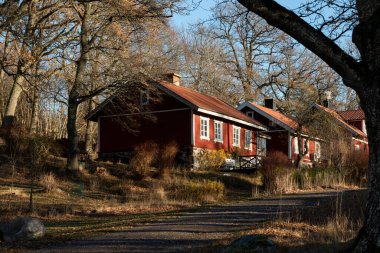 Güneşli bir sonbahar gününde ağaçların arasında kırmızı ahşap evler