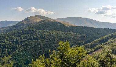 Stara Planina veya Balkan Dağları 'ndaki Dağ Zirvesi Panoraması
