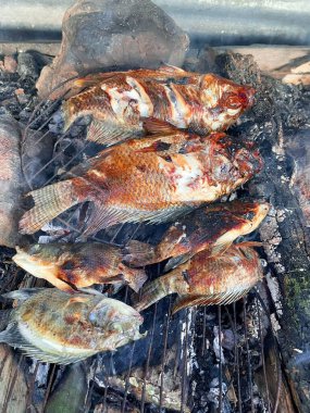 Tropikal nehirlerde ızgara tilapia çok lezzetli ve lezzetli.