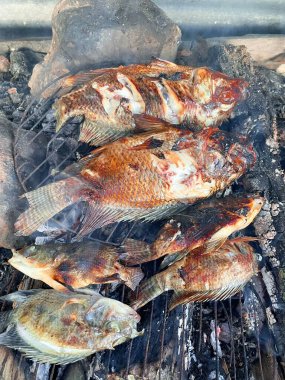 Tropikal nehirlerde ızgara tilapia çok lezzetli ve lezzetli.