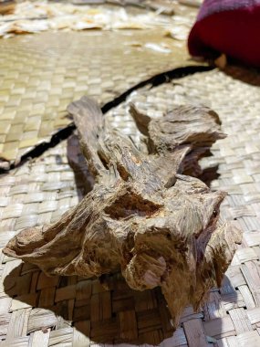 Uygun fiyata tropikal ormanlardan hakiki doğal tarım ağacı.