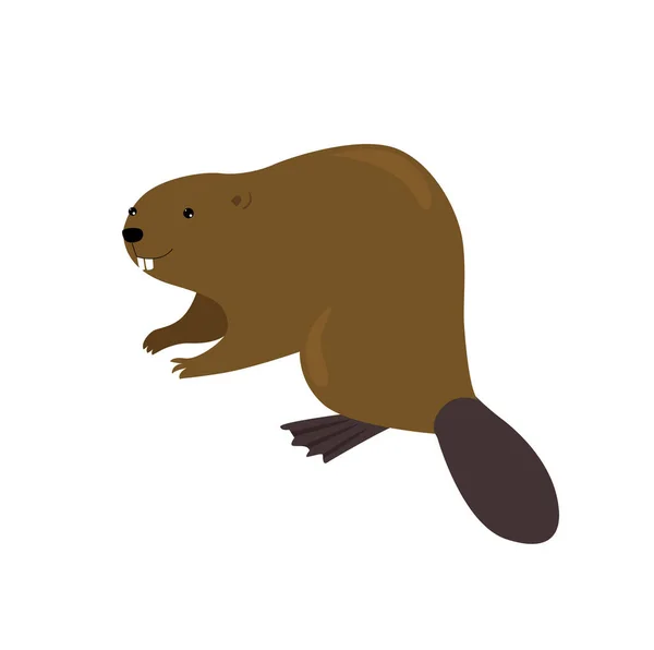Print Vector Cartoon Beaver Forest Animal American Animal Wild Animal — Stock Vector