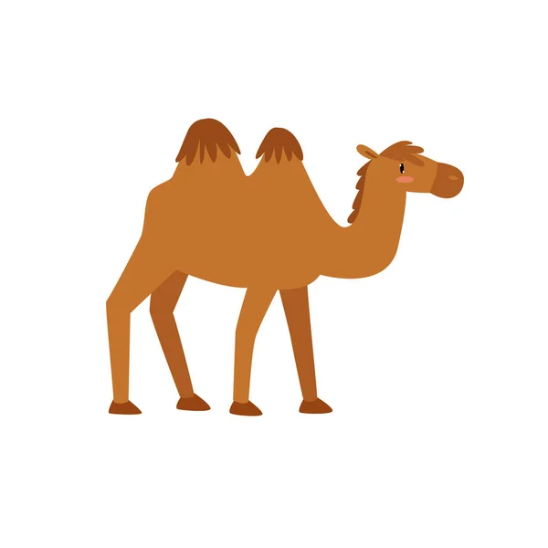 Impresión Camello Dibujos Animados Camello Gracioso Animales Africanos — Vector de stock