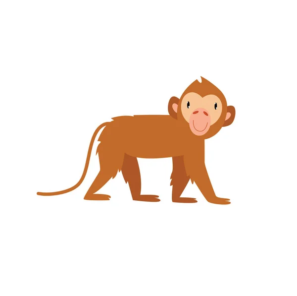 可爱的卡通猴子 非洲动物 巴西动物 猴子高兴地跳着 有趣的卡通人物 — 图库矢量图片