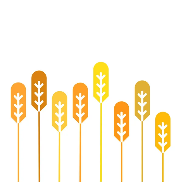 Getreideähren Getreideernte Ähren Fasern Illustration Auf Weißem Hintergrund — Stockfoto