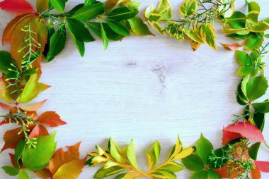 çerçeve çiçek ve yaprakları