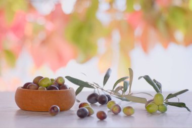 Bahçedeki ahşap masada zeytin yağı cam sürahide zeytin yağı ve sonbahar yaprakları arka planda.