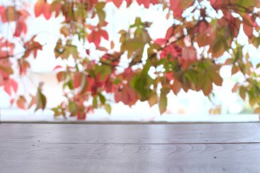 Ahşap arka planda sonbahar yaprakları