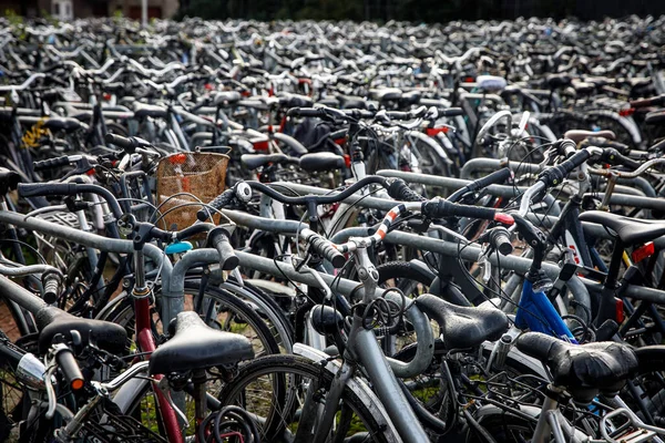 A lot of old bicycles on the bike parking in the Netherlands