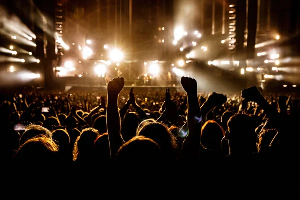 Konser Salonundaki Mutlu Kalabalık Kaldırılmış Ellerin Siluetleri — Stok fotoğraf