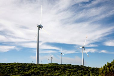 Yeşil Enerji - Rüzgar Türbinleri, Yel değirmeni Jeneratörleri