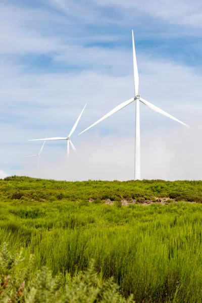 Green Energy Wind Turbines Windmill Propeller Generators — Stock Photo, Image