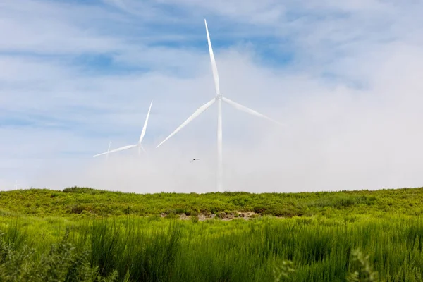 Wind Propeller Turbines High Mountain Field Clouds — Stock Photo, Image