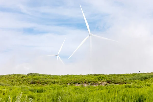 Green Energy Wind Turbines Windmill Generators — Stock Photo, Image