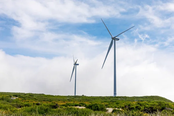 Green Energy Wind Turbines Windmill Generators — Stock Photo, Image