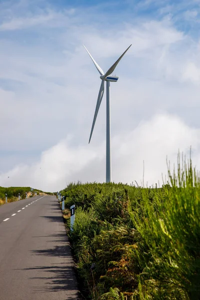 The road near wind propeller turbines. Green energy concept
