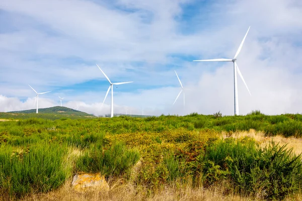 Wind turbines generate electricity in a green meadow