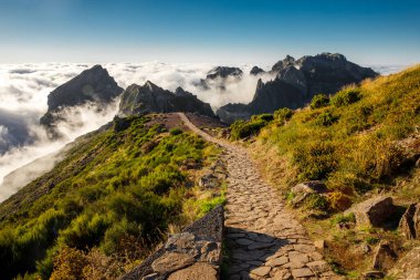 Portekiz 'in Madeira adasındaki dağlarda yürüyüş yolu.