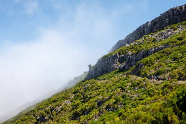 Madeira adasının yamaçlarında yeşil bitki örtüsü