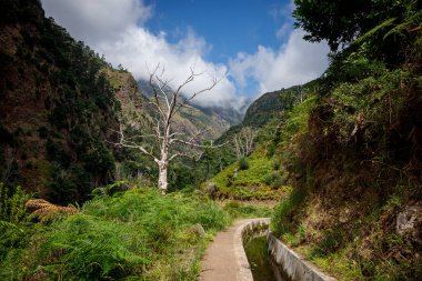 Madeira 'daki Levada - sulama kanalı ve turist yolu.
