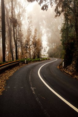 Gizemli siste dağ yoluna dönüş.