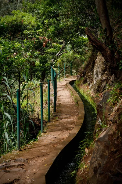 Madeira 'daki Levada - sulama kanalı ve turist yolu.