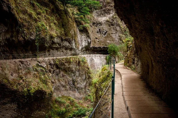 Barlang Népszerű Turista Útvonal Keresztül Madeira Sziget — Stock Fotó