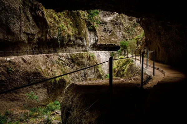 Barlang Népszerű Turista Útvonal Keresztül Madeira Sziget — Stock Fotó