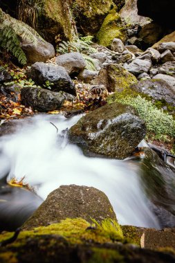 Bir dağ nehrinin suyu taşların üzerinden akar.