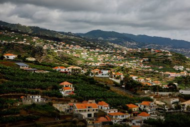 Atlantik Okyanusu 'ndaki Madeira adasının yamaçlarında kırmızı çatıları olan evler.