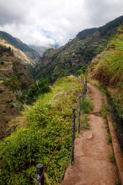 Madeira 'daki Levada - sulama kanalı ve turist yolu.