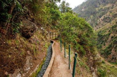 Turist Patikası - Portekiz, Madeira Adası 'nda Levada