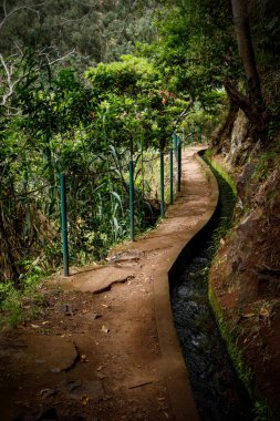 Turist Patikası - Portekiz, Madeira Adası 'nda Levada