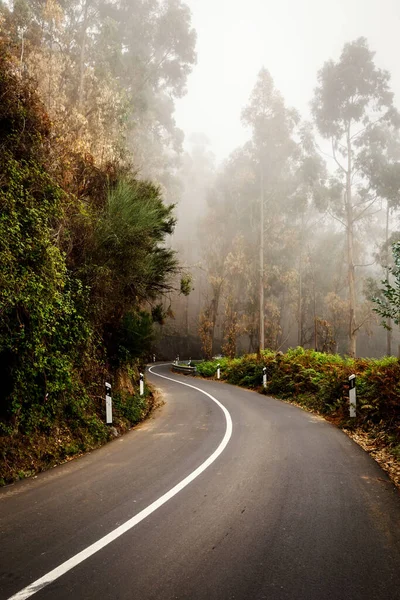 Strada Nebbiosa Girare Alto Montagna Isola Madeira Portogallo — Foto Stock