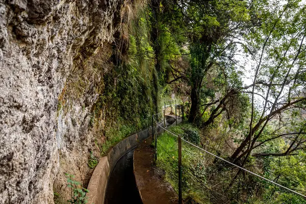 Tourist Trail Levada Madeira Island Portugal — 스톡 사진