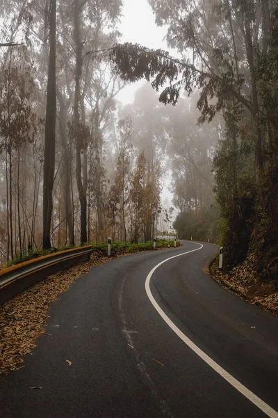 Camino Montaña Doblado Niebla Nublada —  Fotos de Stock