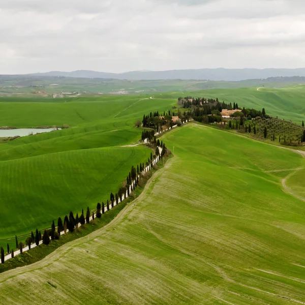 トスカーナ イタリアの緑の丘を通って美しい道路 — ストック写真