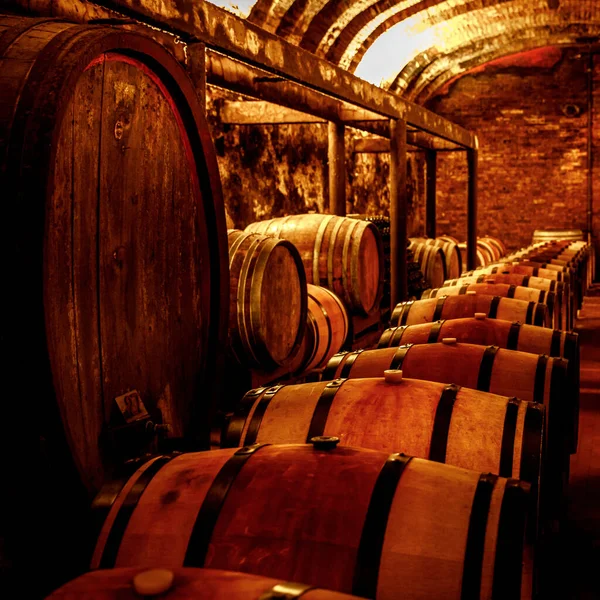 Vintage Wine Cellar Featuring Oak Barrels — Stock Photo, Image