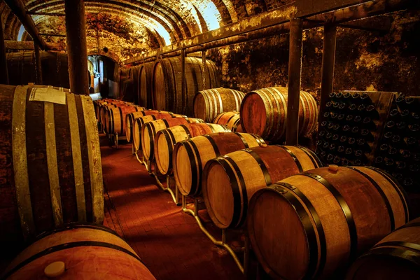 Sala Armazenamento Vinho Rústico Com Barris Madeira — Fotografia de Stock