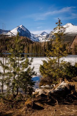 Güzel bir bahar doğası. Dağlarda buzlu bir göl. Çamların arasından bak