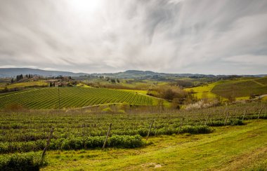 İtalya, Toskana 'nın yuvarlanan tepeleri