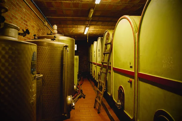 Beton Şarap Tankları Olan Mahzen Odası — Stok fotoğraf