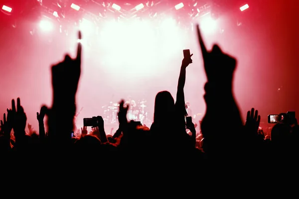 Publikum Mit Erhobenen Händen Auf Einer Tanzfläche Bei Einem Musikfestival Stockbild