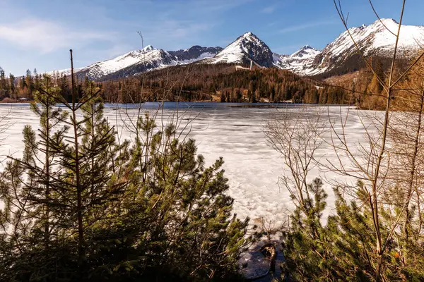 Lago Alpino Com Cenário Montanha Nevado — Fotografia de Stock