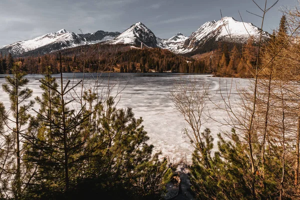 Криве Озеро Гірський Пейзаж Навесні — стокове фото
