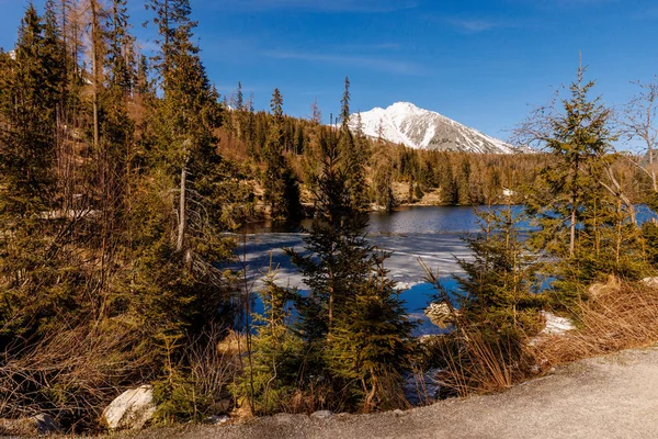 Άγρια Φύση Και Ορεινή Λίμνη Τοπίο — Φωτογραφία Αρχείου
