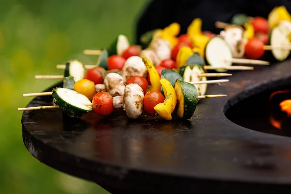 夏のピクニック中にグリルパンでハーブマリネードで野菜をグリル — ストック写真